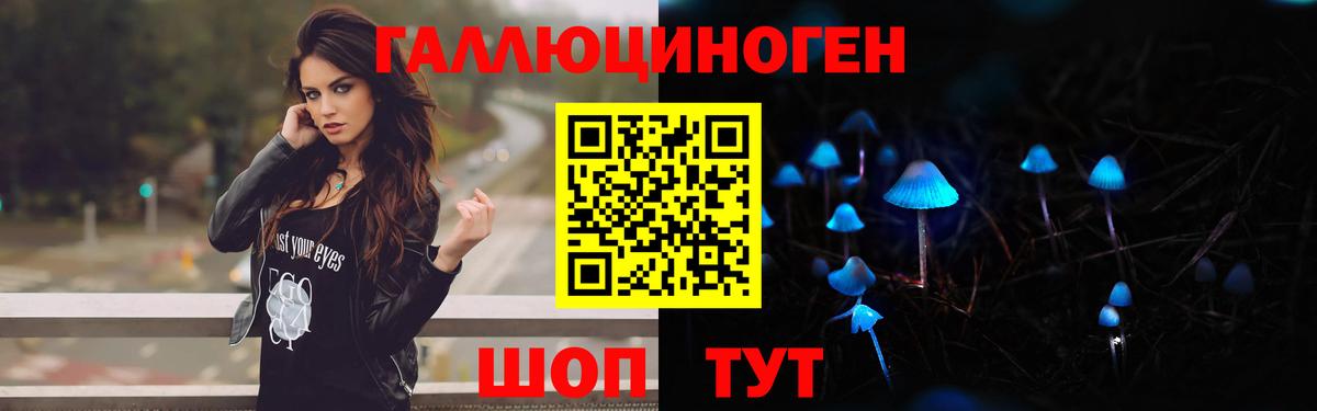 Богородицк  Псилоцибиновые грибы Psilocybe  Вход с VPN 