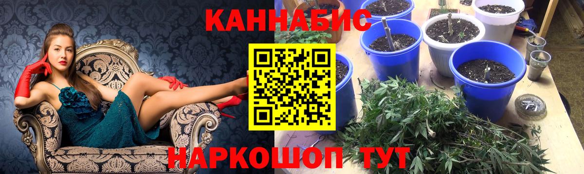 Бошки марихуана OG Kush Богородицк